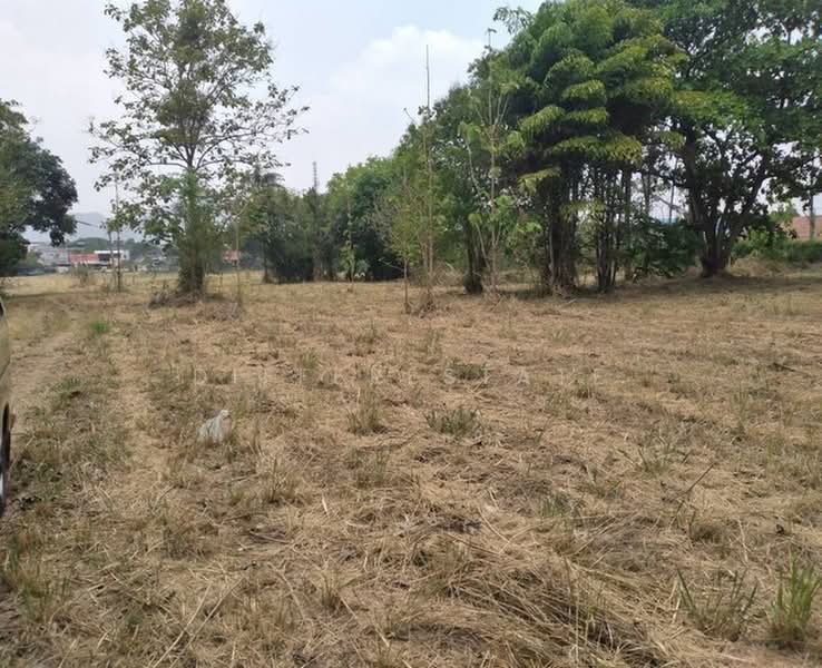Land Muak Lek, Saraburi, Muak Lek, Saraburi, , 23,212 sqm, Land For Sale, by DifferEstate, 500420589 - DDproperty.com