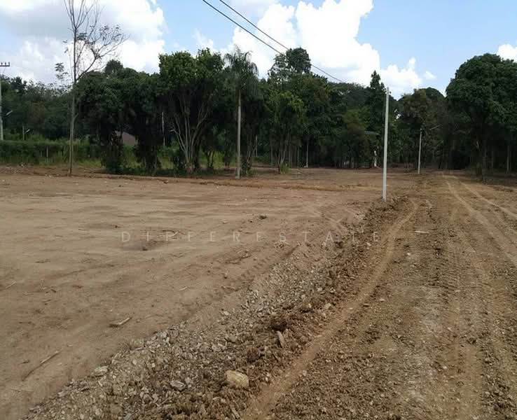 Land Muak Lek, Saraburi, Muak Lek, Saraburi, , 23,212 sqm, Land For Sale, by DifferEstate, 500420589 - DDproperty.com