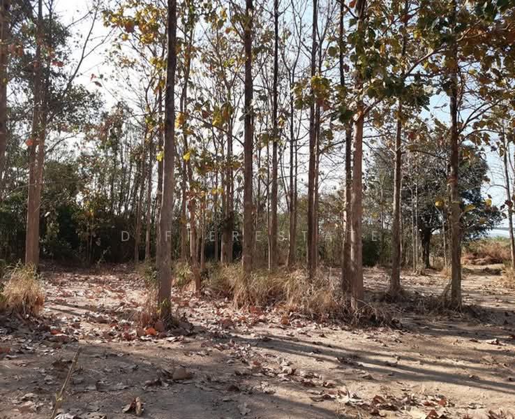 Land Muak Lek, Saraburi, Muak Lek, Saraburi, , 23,212 sqm, Land For Sale, by DifferEstate, 500420589 - DDproperty.com