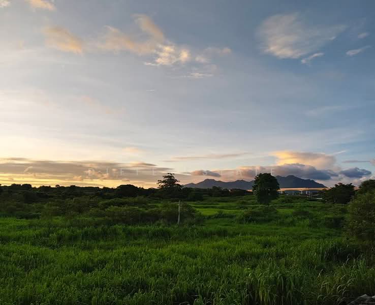 Land Muak Lek, Saraburi, Muak Lek, Saraburi, , 23,212 sqm, Land For Sale, by DifferEstate, 500420589 - DDproperty.com
