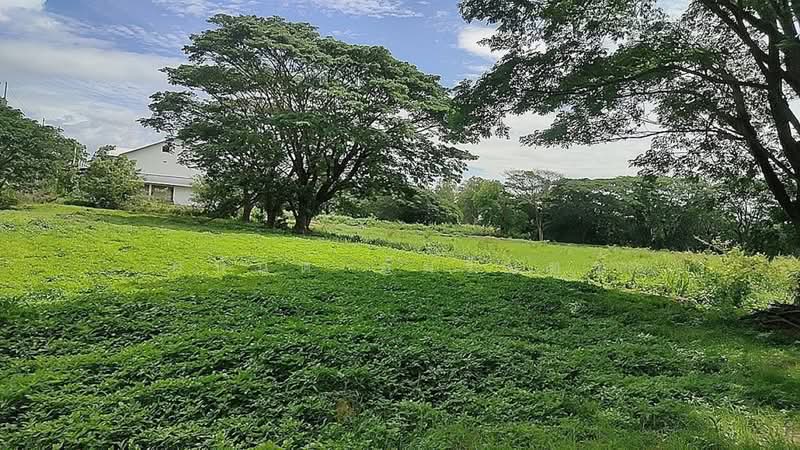 ขายที่ดินเชียงราย 16-2-21.3 ไร่ ติดถนนพหลโยธิน ใกล้โกลบอลเฮ้าส์ สาขาพาน, Chiang Rai, Muang Phan, Phan, Chiang Rai, , 26,484 sqm, Land For Sale, by อนันต์ อัมรินทร์, 500420746 - DDproperty.com