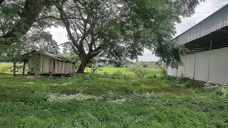 ขายที่ดินเชียงราย 16-2-21.3 ไร่ ติดถนนพหลโยธิน ใกล้โกลบอลเฮ้าส์ สาขาพาน, Chiang Rai, Muang Phan, Phan, Chiang Rai, , 26,484 sqm, Land For Sale, by อนันต์ อัมรินทร์, 500420746 - DDproperty.com