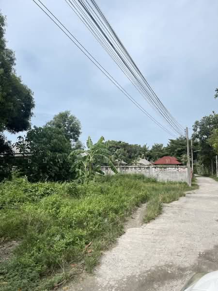 ขายที่ดินสุราษฎร์ธานี 29 ไร่ 3 งาน 57 ตร.ว. ใกล้ถนนหมายเลข 4223 และหาดพุมเรียง, สุราษฎร์ธานี, พุมเรียง, ไชยา, สุราษฎร์ธานี, 47,828 ตร.ม., ที่ดิน ขาย, โดย อนันต์ อัมรินทร์, 500420772 - DDproperty.com