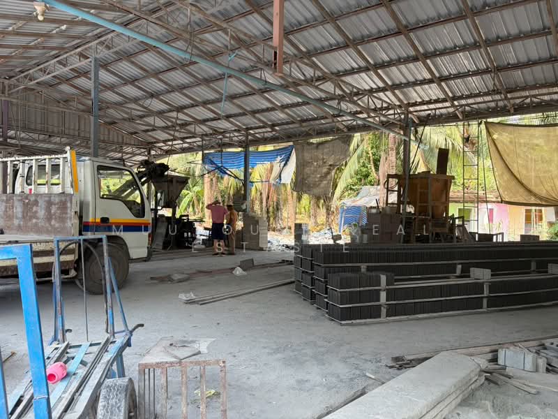 ขายที่ดิน 10 ไร่ + กิจการอิฐบล็อก +สวนปาล์ม (มีรายได้ทันที) หนองเสือ ปทุมธานี, Pathum Thani, Bung Ba, Nong Sua, Pathum Thani, , 16,000 sqm, Land For Sale, by Muuhouse real estaste, 500420943 - DDproperty.com