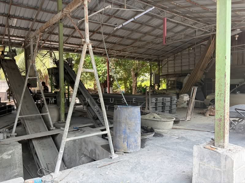 ขายที่ดิน 10 ไร่ + กิจการอิฐบล็อก +สวนปาล์ม (มีรายได้ทันที) หนองเสือ ปทุมธานี, Pathum Thani, Bung Ba, Nong Sua, Pathum Thani, , 16,000 sqm, Land For Sale, by Muuhouse real estaste, 500420943 - DDproperty.com