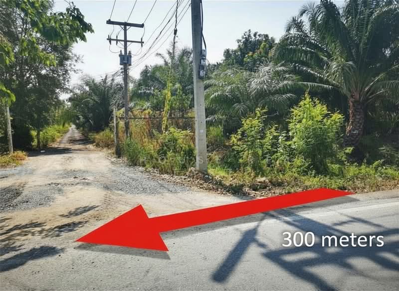 ขายที่ดิน 10 ไร่ + กิจการอิฐบล็อก +สวนปาล์ม (มีรายได้ทันที) หนองเสือ ปทุมธานี, ปทุมธานี, บึงบา, หนองเสือ, ปทุมธานี, 16,000 ตร.ม., ที่ดิน ขาย, โดย Muuhouse real estaste, 500420943 - DDproperty.com
