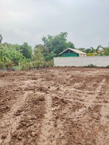ไม่พบโครงการ, Nakhon Ratchasima, มิตรภาพ- ยุทธศาสตร์, Sung Noen, Nakhon Ratchasima, , 800 sqm, Land For Rent, by ณัฐพงศ์ สุนทรอรุณ, 500421005 - DDproperty.com