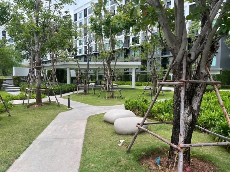 Chatpetch Park : ฉัตรเพชร ปาร์ค, ขอนแก่น, ถ.โนนเมือง, ศิลา, เมืองขอนแก่น, ขอนแก่น, 31 ตร.ม., คอนโด ให้เช่า, โดย สุริยา เบียดนอก, 500421269 - DDproperty.com