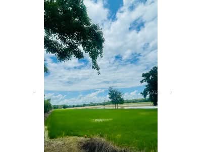 ขาย - ที่ดินขาณุวรลักษบุรี กำแพงเพชร, กำแพงเพชร