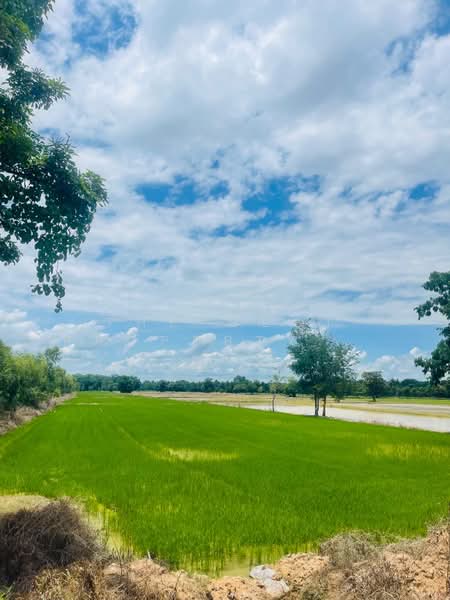 ที่ดินขาณุวรลักษบุรี กำแพงเพชร, กำแพงเพชร, ดอนแตง, ขาณุวรลักษบุรี, กำแพงเพชร, 18,484 ตร.ม., ที่ดิน ขาย, โดย The Best Property หน่อย, 500421319 - DDproperty.com