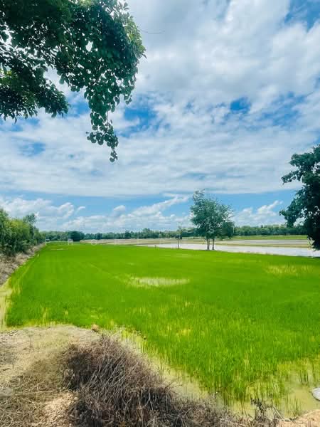 ที่ดินขาณุวรลักษบุรี กำแพงเพชร, กำแพงเพชร, ดอนแตง, ขาณุวรลักษบุรี, กำแพงเพชร, 18,484 ตร.ม., ที่ดิน ขาย, โดย The Best Property หน่อย, 500421319 - DDproperty.com