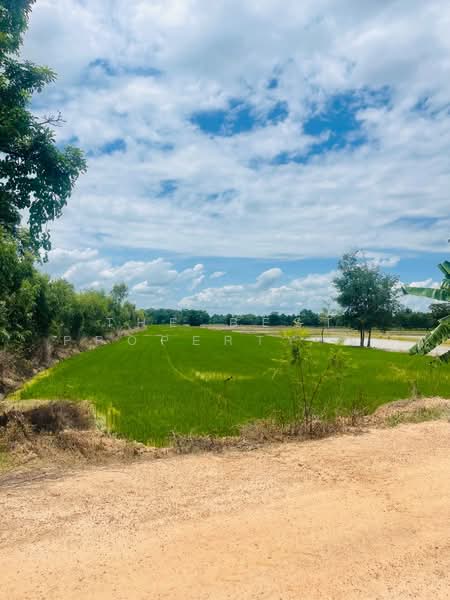 ที่ดินขาณุวรลักษบุรี กำแพงเพชร, กำแพงเพชร, ดอนแตง, ขาณุวรลักษบุรี, กำแพงเพชร, 18,484 ตร.ม., ที่ดิน ขาย, โดย The Best Property หน่อย, 500421319 - DDproperty.com