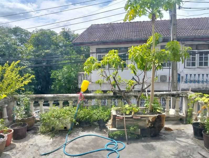 บัวกลางบึง ซอยไทยานนท์16/2, นนทบุรี, ถนนติวานนท์, บางกระสอ, เมืองนนทบุรี, นนทบุรี, 90 ตร.ม., ทาวน์เฮ้าส์ ขาย, โดย คุณ การันต์ ค้ำคูณ (รันต์), 500421331 - DDproperty.com