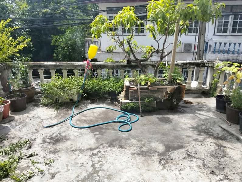 บัวกลางบึง ซอยไทยานนท์16/2, Nonthaburi, ถนนติวานนท์, Bang Kra So, Muang Nonthaburi, Nonthaburi, 5 Bedrooms, 90 sqm, Townhouse For Sale, by คุณ การันต์ ค้ำคูณ (รันต์), 500421331 - DDproperty.com