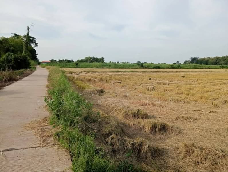 ที่ดินบรรพตพิสัย นครสวรรค์, Nakhon Sawan, Nong Ta Ngu, Banphot Phisai, Nakhon Sawan, , 11,396 sqm, Land For Sale, by The Best Property บุ๋มบิ๋ม, 500421363 - DDproperty.com