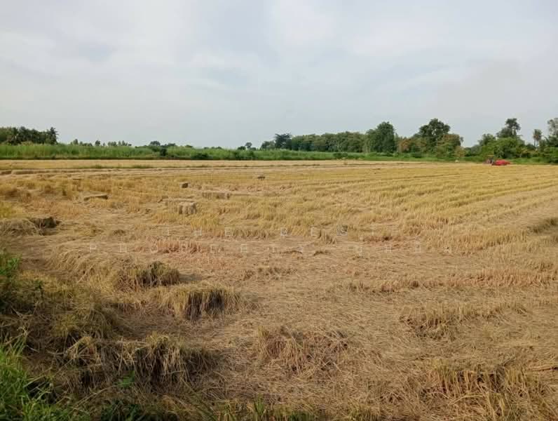 ที่ดินบรรพตพิสัย นครสวรรค์, นครสวรรค์, หนองตางู, บรรพตพิสัย, นครสวรรค์, 11,396 ตร.ม., ที่ดิน ขาย, โดย The Best Property บุ๋มบิ๋ม, 500421363 - DDproperty.com