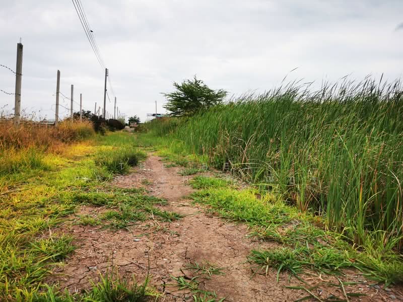 ที่ดินบางเลน นครปฐม, นครปฐม, บัวปากท่า, บางเลน, นครปฐม, 400 ตร.ม., ที่ดิน ขาย, โดย The Best Property ณัฏฐ์, 500421528 - DDproperty.com