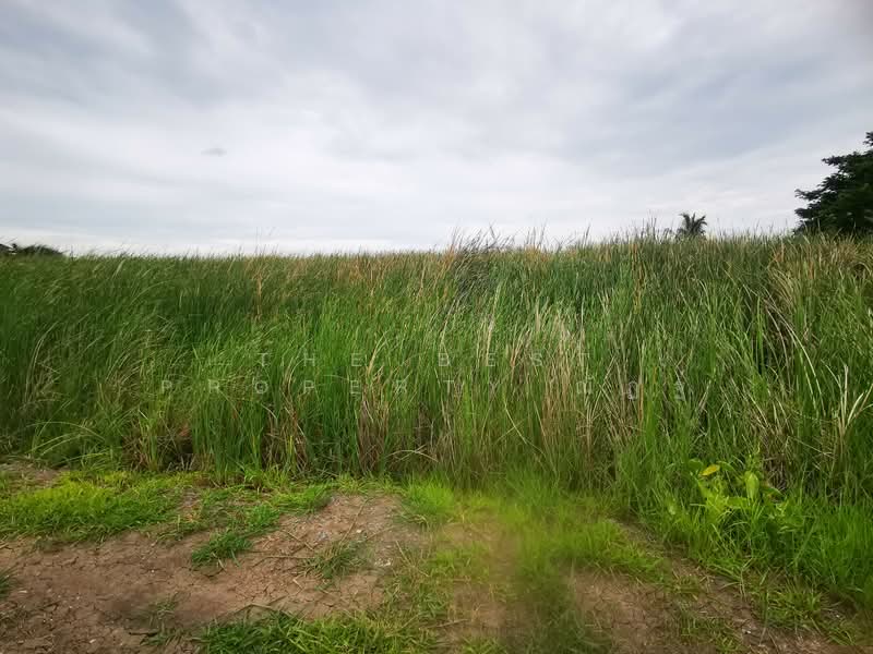 ที่ดินบางเลน นครปฐม, Nakhon Pathom, Bua Pak Tha, Bang Len, Nakhon Pathom, , 400 sqm, Land For Sale, by The Best Property ณัฏฐ์, 500421528 - DDproperty.com