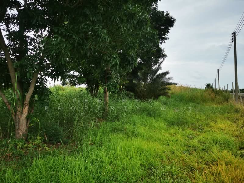 ที่ดินบางเลน นครปฐม, นครปฐม, บัวปากท่า, บางเลน, นครปฐม, 400 ตร.ม., ที่ดิน ขาย, โดย The Best Property ณัฏฐ์, 500421528 - DDproperty.com