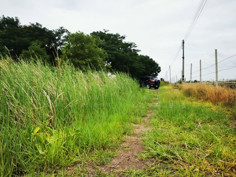 ที่ดินบางเลน นครปฐม, นครปฐม, บัวปากท่า, บางเลน, นครปฐม, 400 ตร.ม., ที่ดิน ขาย, โดย The Best Property ณัฏฐ์, 500421528 - DDproperty.com