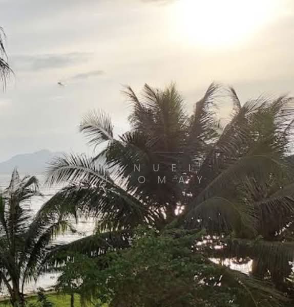 Beachside, Pathiw, Chomphon, ชุมพร, บางสน, ปะทิว, ชุมพร, 8,600 ตร.ม., ที่ดิน ขาย, โดย Manuel Juromay, 500421592 - DDproperty.com