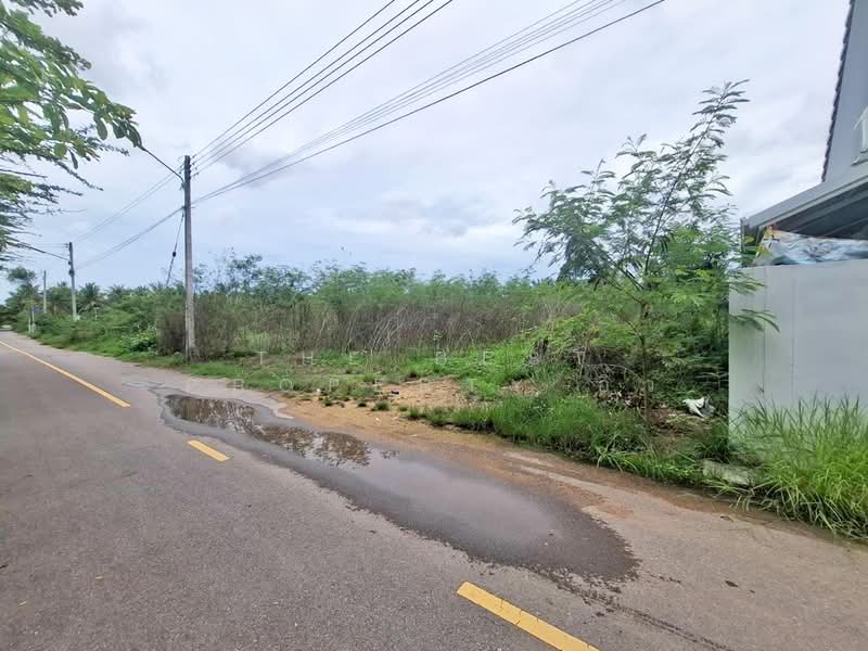 ที่ดินลาดใหญ่ สมุทรสงคราม, สมุทรสงคราม, ลาดใหญ่, เมืองสมุทรสงคราม, สมุทรสงคราม, 2,002 ตร.ม., ที่ดิน ขาย, โดย The Best Property อิ๋ว, 500421755 - DDproperty.com