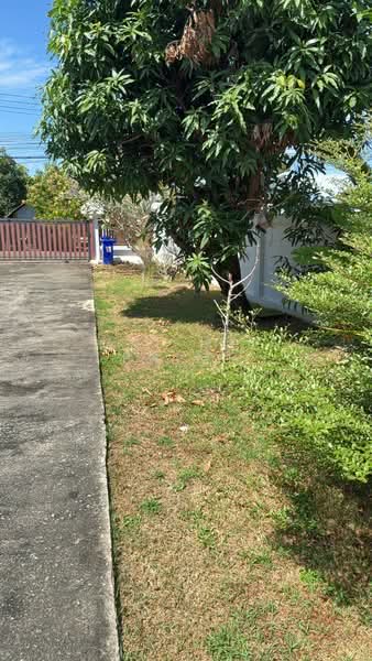 บ้านดอน ถลาง, ภูเก็ต, เทพกระษัตรี, ถลาง, ภูเก็ต, 131 ตร.ม., บ้านเดี่ยว ให้เช่า, โดย Mei Mei Prime, 500421768 - DDproperty.com