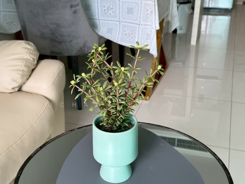 The Riviera Wongamat, Chon Buri (Pattaya), Na Kluea 16 Alley, Na Kloe, Bang Lamung (Pattaya), Chon Buri (Pattaya), 1 Bedroom, 50 sqm, Condo For Rent, by Suchada Buasaen, 500421921 - DDproperty.com