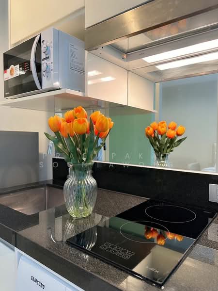 The Sky Sukhumvit, Bangkok, 103-4 Sukhumvit Road, Bang Na Nuea, Bang Na, Bangkok, 1 Bedroom, 22 sqm, Condo For Rent, by Praewpakar Soontawong, 500422064 - DDproperty.com