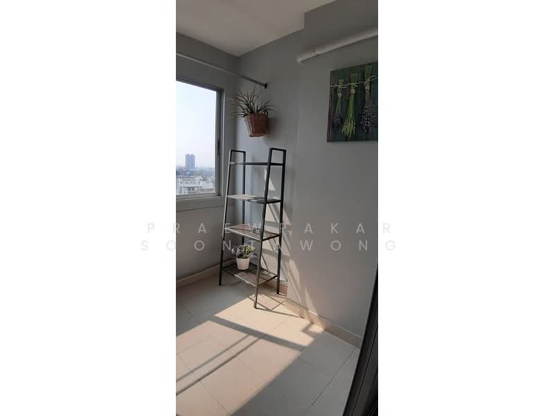 City Home Sukhumvit, Bangkok, Udomsuk Road, Bang Na, Bangkok, 1 Bedroom, 35 sqm, Condo For Rent, by Praewpakar Soontawong, 500422071 - DDproperty.com