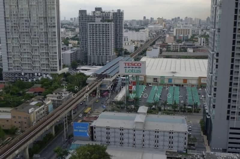 Diamond Sukhumvit, Bangkok, 1558 Sukhumvit Road, Phra Kanong, Khlong Toei, Bangkok, 1 Bedroom, 34 sqm, Condo For Rent, by Praewpakar Soontawong, 500422172 - DDproperty.com