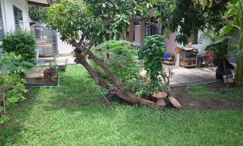 3-BR House, Bangkok, Bang Chak, Phra Khanong, Bangkok, 3 Bedrooms, 204 sqm, Single Detached House For Sale, by Pasupit Ditbanjong, 500422215 - DDproperty.com