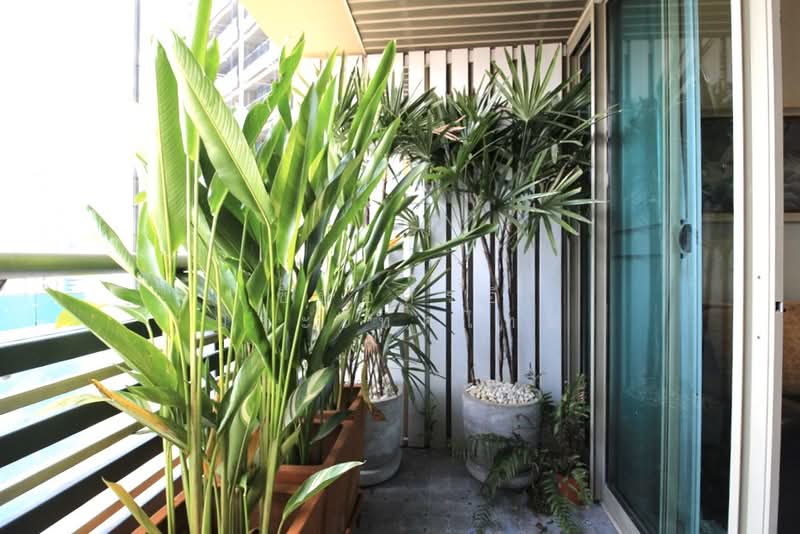 The Lakes, Bangkok, 123 Ratchadaphisek Road, Khlong Toei, Bangkok, 2 Bedrooms, 101 sqm, Condo For Sale, by CBRE (Thailand) Co.,Ltd, 500422241 - Balcony - DDproperty.com