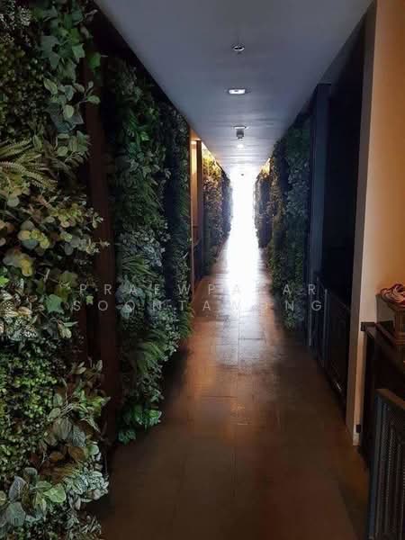 A Space Asoke-Ratchada, Bangkok, 624 Asoke-Dindaeng Road, Din Daeng, Bangkok, 1 Bedroom, 33 sqm, Condo For Rent, by Praewpakar Soontawong, 500422343 - DDproperty.com