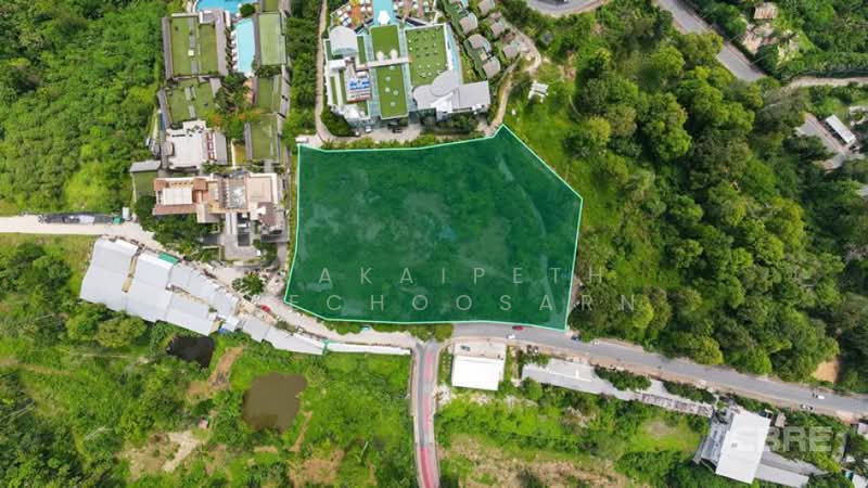 Patong, Phuket, Patong, Kathu, Phuket, , 11,984 sqm, Land For Sale, by Prakaipeth Meechoosarn, 500422595 - DDproperty.com