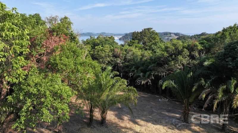 ที่ดินมองเห็นวิวทะเล - อ่าวปอ, ภูเก็ต, ป่าคลอก, ถลาง, ภูเก็ต, 4,596 ตร.ม., ที่ดิน ขาย, โดย Prakaipeth Meechoosarn, 500422625 - DDproperty.com