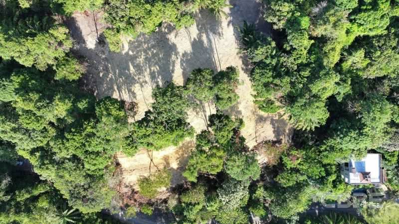 ที่ดินมองเห็นวิวทะเล - อ่าวปอ, ภูเก็ต, ป่าคลอก, ถลาง, ภูเก็ต, 4,596 ตร.ม., ที่ดิน ขาย, โดย Prakaipeth Meechoosarn, 500422625 - DDproperty.com