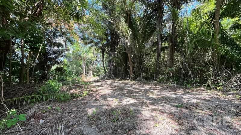 Sea Views Land - Ao Po, Phuket, Pa Khlok, Thalang, Phuket, , 4,596 sqm, Land For Sale, by Prakaipeth Meechoosarn, 500422625 - DDproperty.com