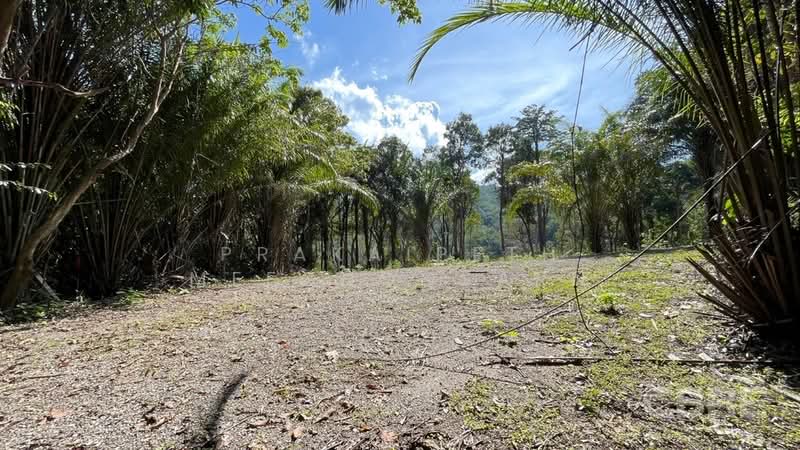 Sea Views Land - Ao Po, Phuket, Pa Khlok, Thalang, Phuket, , 4,596 sqm, Land For Sale, by Prakaipeth Meechoosarn, 500422625 - DDproperty.com