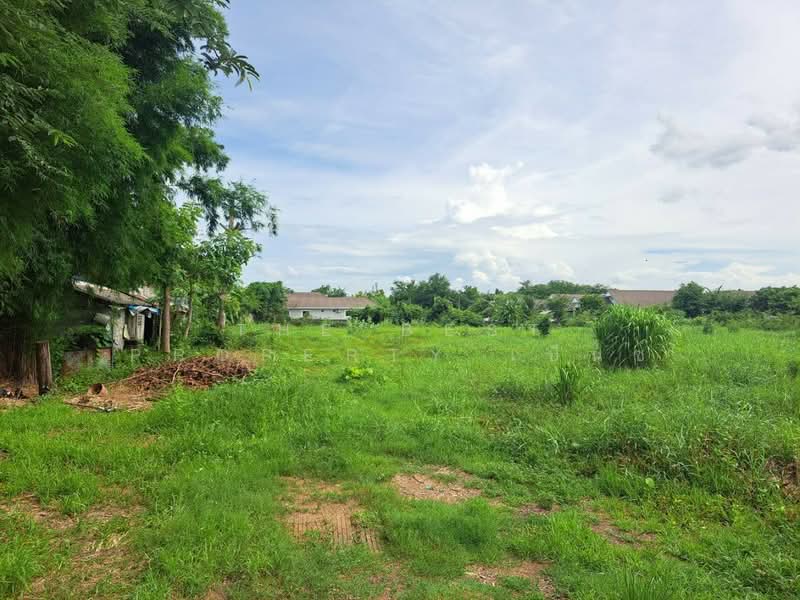 ที่ดินหนองปลิง นครสวรรค์, Nakhon Sawan, Nong Pling, Muang Nakhon Sawan, Nakhon Sawan, , 1,199 sqm, Land For Sale, by The Best Property เบ็นซ์, 500422626 - DDproperty.com