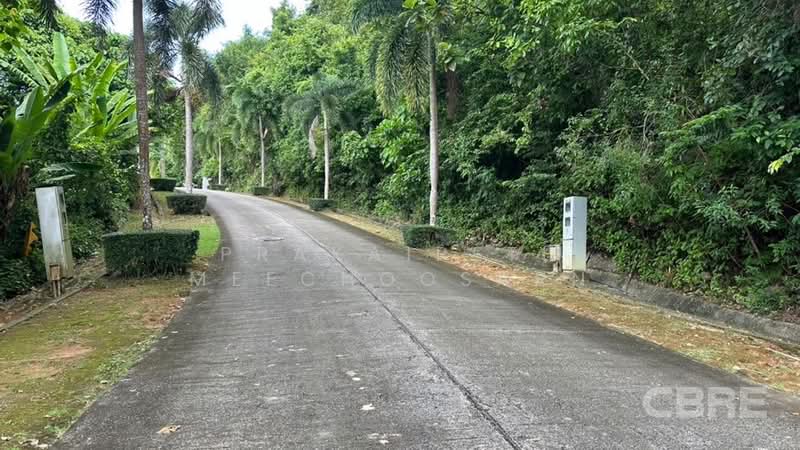 Yamu Hills, Phuket, Pa Khlok, Thalang, Phuket, , 3,188 sqm, Land For Sale, by Prakaipeth Meechoosarn, 500422632 - DDproperty.com