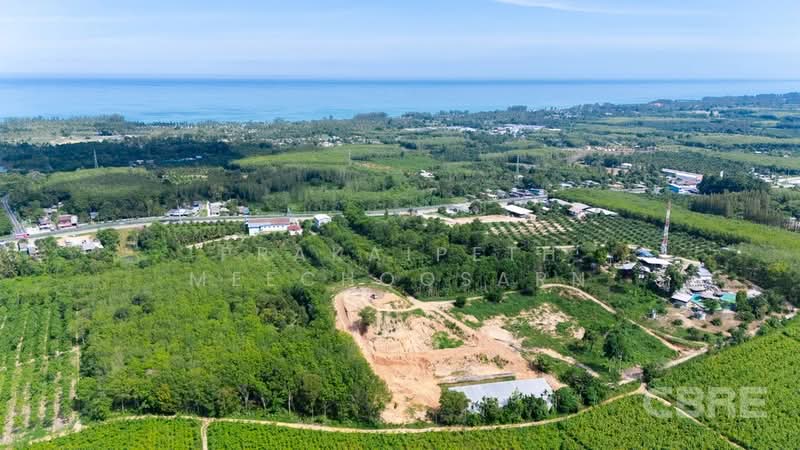 Sea Views Land - Kok Kloi, Phangnga, Khok Kloi, Takua Thung, Phangnga, , 28,994 sqm, Land For Sale, by Prakaipeth Meechoosarn, 500422636 - DDproperty.com