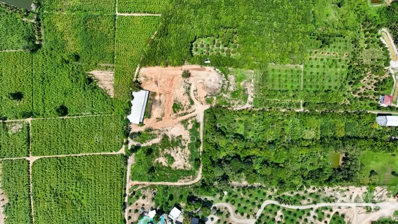 Sea Views Land - Kok Kloi, Phangnga, Khok Kloi, Takua Thung, Phangnga, , 28,994 sqm, Land For Sale, by Prakaipeth Meechoosarn, 500422636 - DDproperty.com