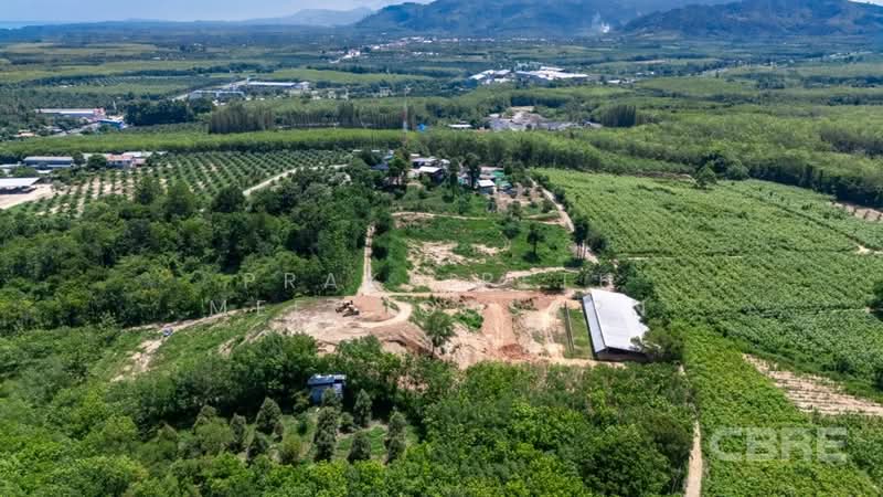 Sea Views Land - Kok Kloi, Phangnga, Khok Kloi, Takua Thung, Phangnga, , 28,994 sqm, Land For Sale, by Prakaipeth Meechoosarn, 500422636 - DDproperty.com