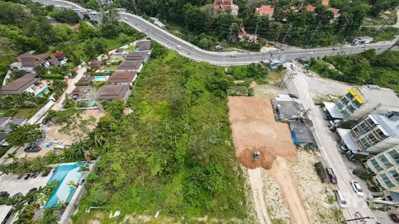 Small Land Plot - Nakalay, Phuket, Kammala, Kathu, Phuket, , 1,600 sqm, Land For Sale, by Prakaipeth Meechoosarn, 500422638 - DDproperty.com