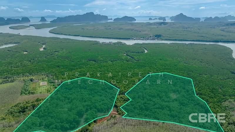 ที่ดินมองเห็นวิวทะเล - สามช่อง, พังงา, กะไหล, ตะกั่วทุ่ง, พังงา, 136,076 ตร.ม., ที่ดิน ขาย, โดย Prakaipeth Meechoosarn, 500422639 - DDproperty.com