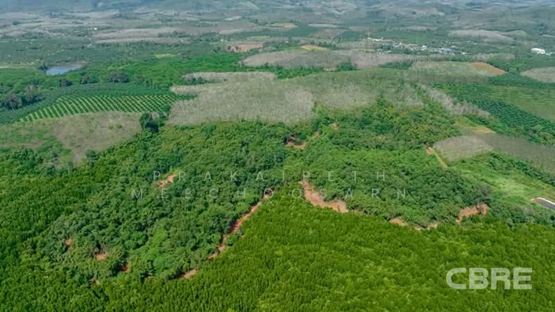ที่ดินมองเห็นวิวทะเล - สามช่อง, พังงา, กะไหล, ตะกั่วทุ่ง, พังงา, 136,076 ตร.ม., ที่ดิน ขาย, โดย Prakaipeth Meechoosarn, 500422639 - DDproperty.com