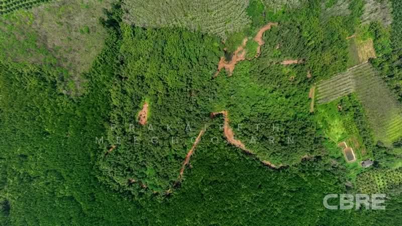ที่ดินมองเห็นวิวทะเล - สามช่อง, พังงา, กะไหล, ตะกั่วทุ่ง, พังงา, 136,076 ตร.ม., ที่ดิน ขาย, โดย Prakaipeth Meechoosarn, 500422639 - DDproperty.com