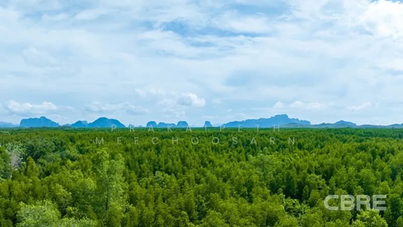 ที่ดินมองเห็นวิวทะเล - สามช่อง, พังงา, กะไหล, ตะกั่วทุ่ง, พังงา, 136,076 ตร.ม., ที่ดิน ขาย, โดย Prakaipeth Meechoosarn, 500422639 - DDproperty.com