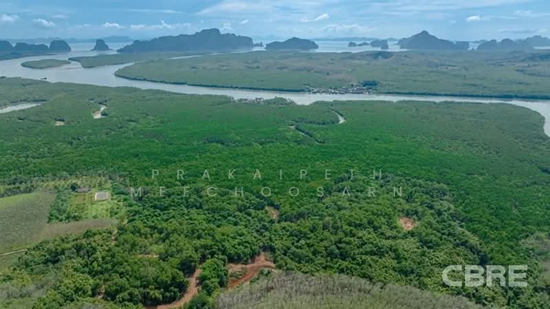 ที่ดินมองเห็นวิวทะเล - สามช่อง, พังงา, กะไหล, ตะกั่วทุ่ง, พังงา, 136,076 ตร.ม., ที่ดิน ขาย, โดย Prakaipeth Meechoosarn, 500422639 - DDproperty.com